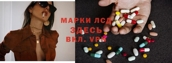 стаф Баксан