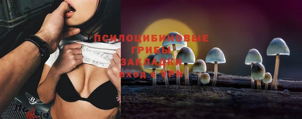 а пвп мука Куйбышев