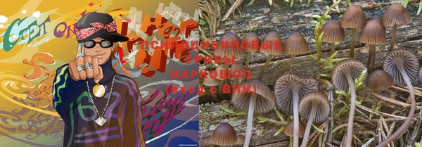 стаф Баксан